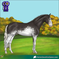 Horse Color:White Spotted Liver Chestnut Mushroom 