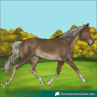 Horse Color:Chocolate Palomino Mushroom 