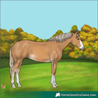 Horse Color:Palomino Mushroom