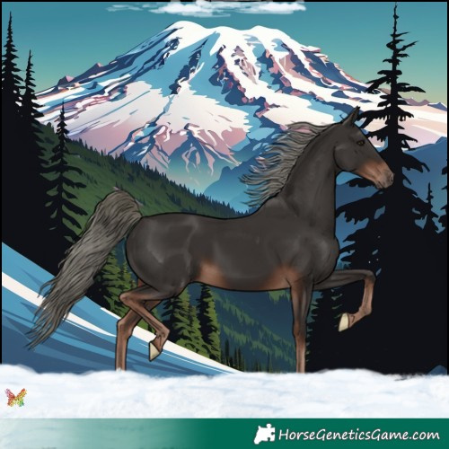 Horse Color:Liver Chestnut Mushroom 