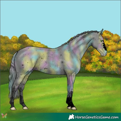 Horse Color:ERROR: UNKNOWN ANOMALY