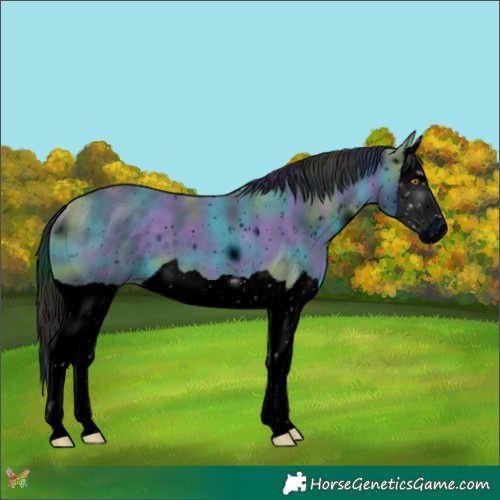 Horse Color:ERROR: UNKNOWN ANOMALY
