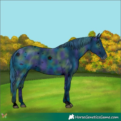 Horse Color:ERROR: UNKNOWN ANOMALY