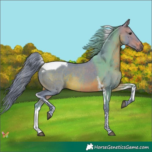Horse Color:Watercolor Brown Tobiano 