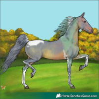 Horse Color:Watercolor Brown Tobiano 