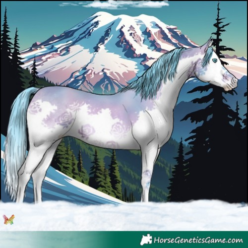 Horse Color:Watercolor Bay Onyx Splash