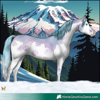 Horse Color:Watercolor Bay Onyx Splash