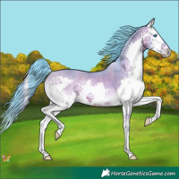 Horse Color:Watercolor Bay Onyx Splash