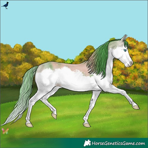 Horse Color:Watercolor Buckskin Splash