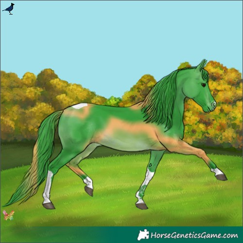 Horse Color:Watercolor Brown Tobiano