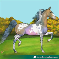 Horse Color:Watercolor Bay Splash Tobiano 