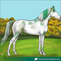 Horse Color:Watercolor Brown Onyx Splash Tobiano 