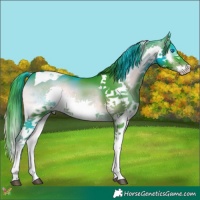 Horse Color:Platinum Watercolor Liver Red Onyx Splash Tobiano