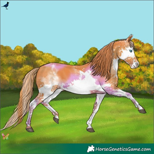 Horse Color:Watercolor White Spotted Liver Chestnut Splash 