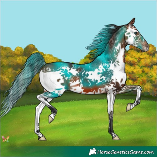 Horse Color:Brown Splash 