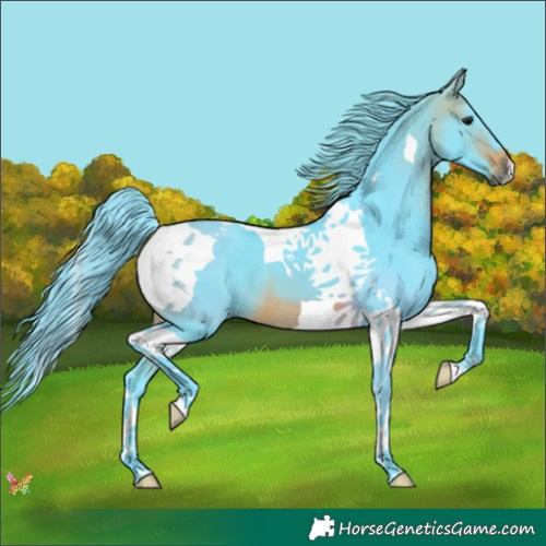 Horse Color:Watercolor Brown Tobiano 