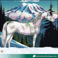 Horse Color:Watercolor White Spotted Silver Brown Onyx Splash 