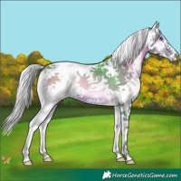 Horse Color:Watercolor White Spotted Silver Brown Onyx Splash