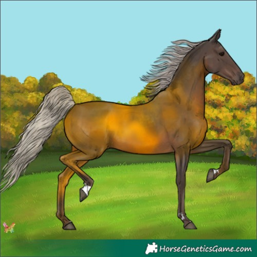 Horse Color:Silver Black 
