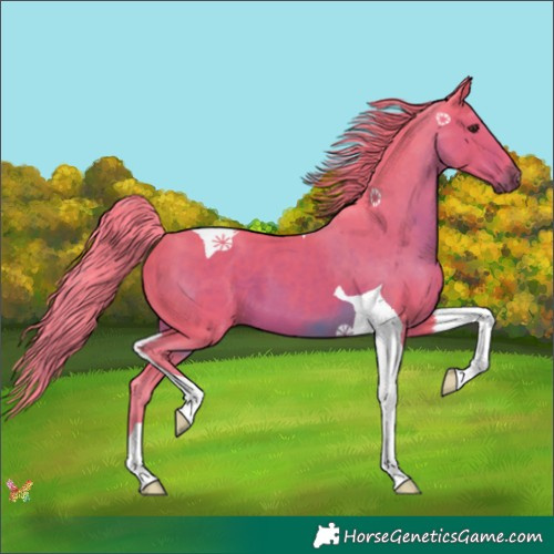 Horse Color:Watercolor Liver Chestnut Tobiano 