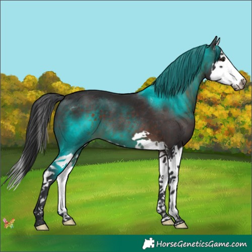 Horse Color:Brown Splash 