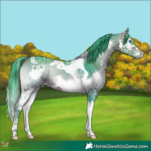 Horse Color:Watercolor Brown Onyx Splash Tobiano 