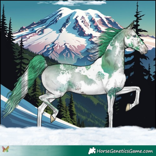 Horse Color:Watercolor Brown Onyx Splash Tobiano 