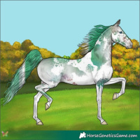 Horse Color:Watercolor Brown Onyx Splash Tobiano 