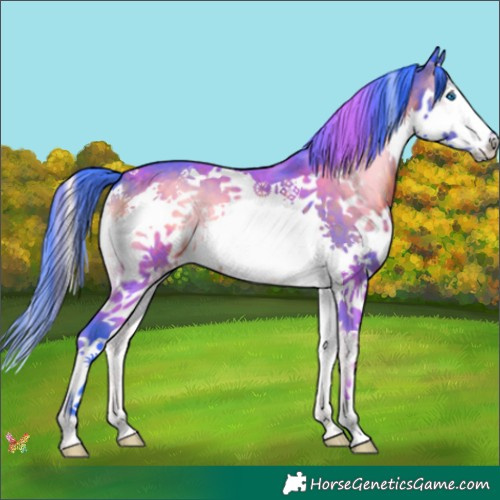 Horse Color:Watercolor Brown Onyx Splash 