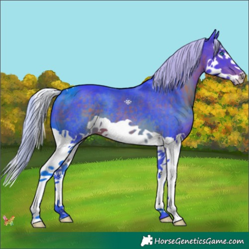 Horse Color:Watercolor Silver Brown Splash 