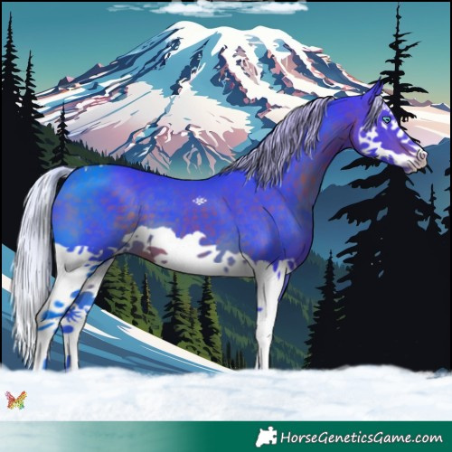 Horse Color:Watercolor Silver Brown Splash 