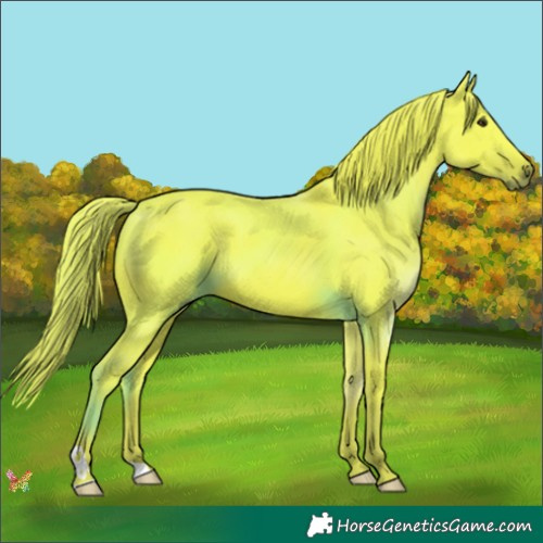 Horse Color:Watercolor Liver Chestnut 