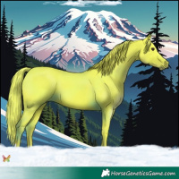 Horse Color:Watercolor Liver Chestnut 