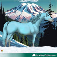 Horse Color:Watercolor Liver Chestnut 