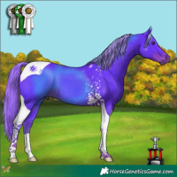 Horse Color:Watercolor Liver Chestnut Tobiano 