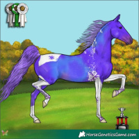 Horse Color:Watercolor Liver Chestnut Tobiano 