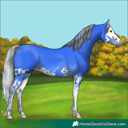 Horse Color:Watercolor Liver Chestnut Splash