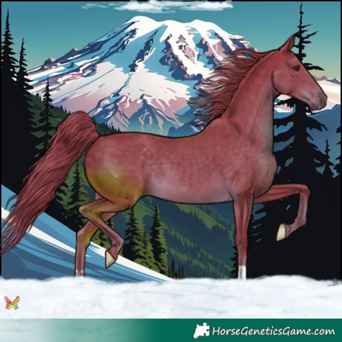 Horse Color:Watercolor Liver Chestnut 