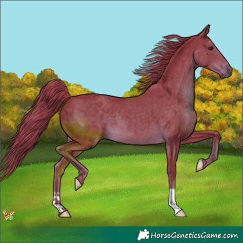 Horse Color:Watercolor Liver Chestnut 