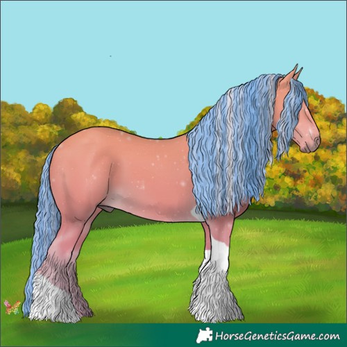 Horse Color:Painted Palomino Tobiano 