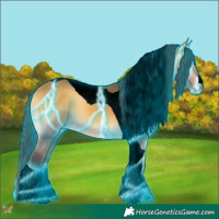 Horse Color:Void Thunderstruck Buckskin Onyx Tobiano 