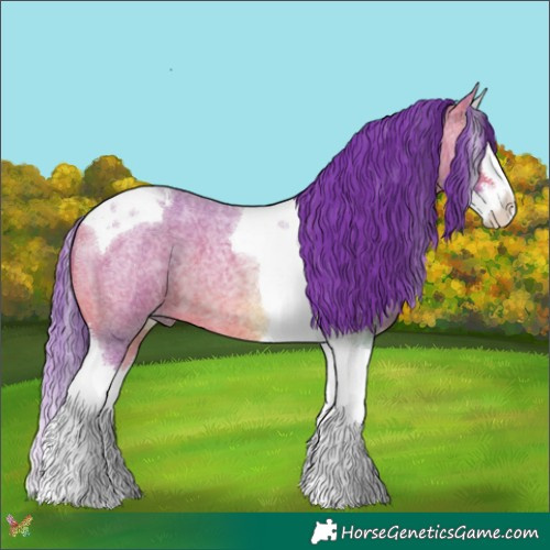 Horse Color:Watercolor Bay Roan Splash Tobiano 