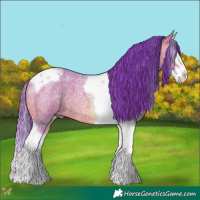Horse Color:Watercolor Bay Roan Splash Tobiano