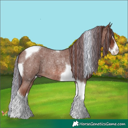Horse Color:Painted Red Roan Splash Tobiano 