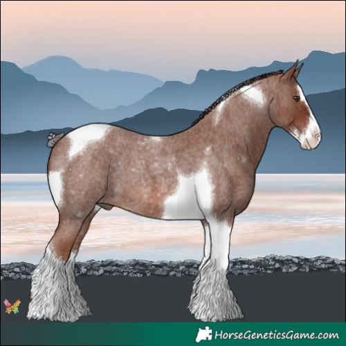Horse Color:Painted Red Roan Splash Tobiano 