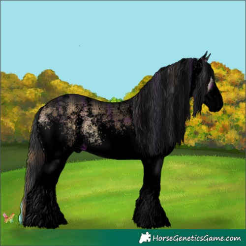 Horse Color:Void Plaid  White Spotted Brown Onyx 