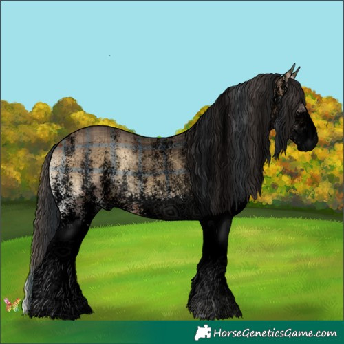 Horse Color:Void Plaid  White Spotted Bay Onyx 