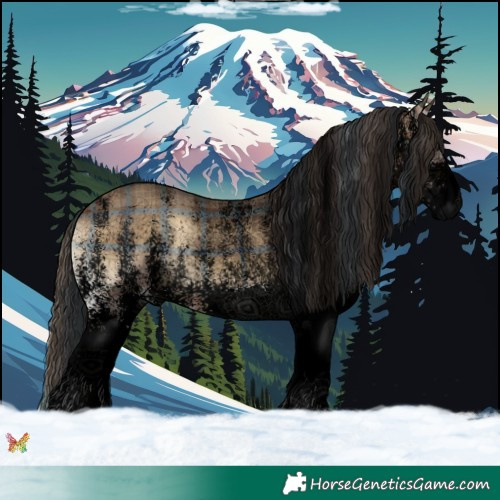Horse Color:Void Plaid  White Spotted Bay Onyx 