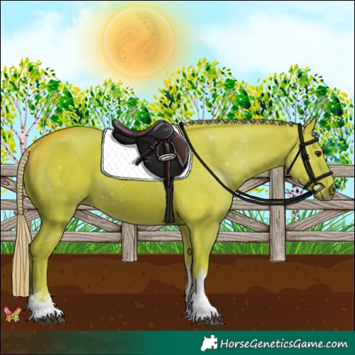 Horse Color:Watercolor White Spotted Chestnut 