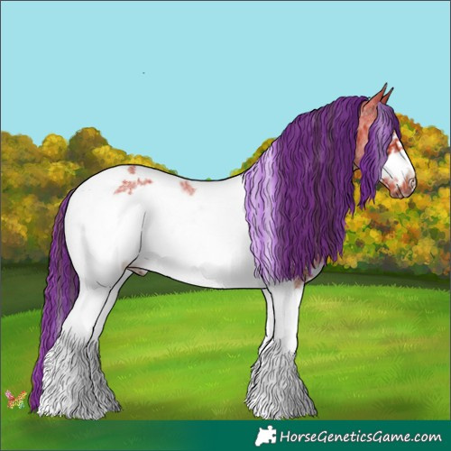 Horse Color:Painted Bay Sabino Tobiano Frame 